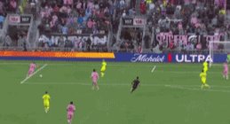 1773877305624023100.gif IMB_rosaQs.gif